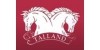 Talland School of Equitation 