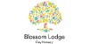 Blossom Lodge Day Nursery