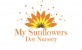 My Sunflowers Day Nursery 