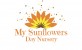 My Sunflowers Day Nursery Limited