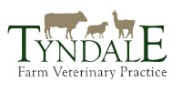 Tyndale Vets Ltd