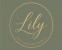 Lily Support Solutions